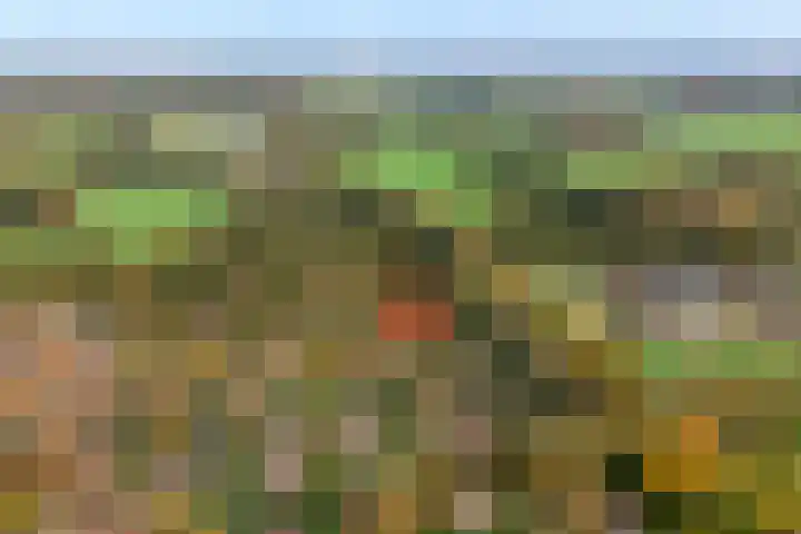 Haersolteweg 17 G 142 Dalfsen thumbnail 42