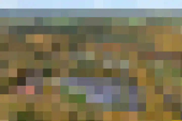 Haersolteweg 17 G 142 Dalfsen thumbnail 43