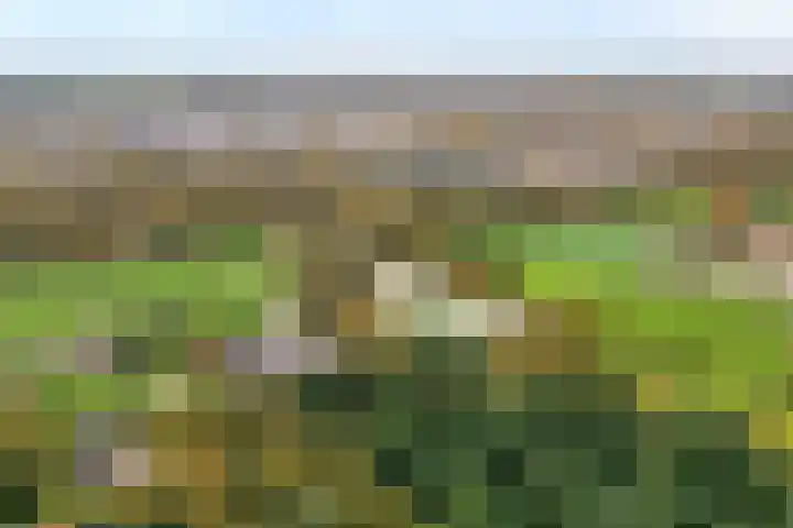 Haersolteweg 17 G 142 Dalfsen thumbnail 44