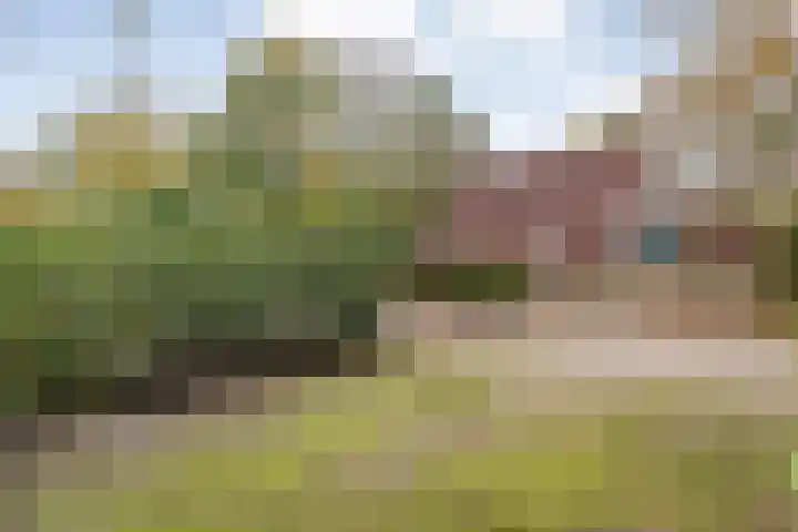 Haersolteweg 17 G 142 Dalfsen thumbnail 45