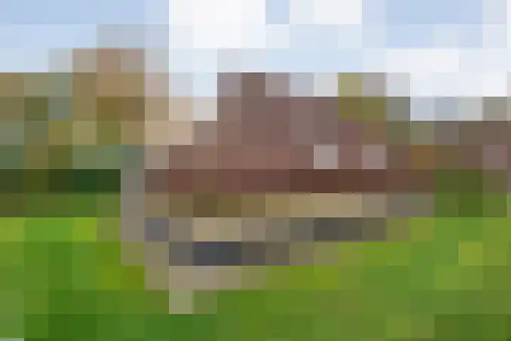 Haersolteweg 17 G 142 Dalfsen thumbnail 46