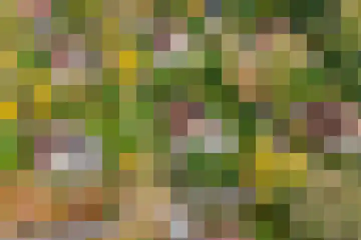 Haersolteweg 17 G 142 Dalfsen thumbnail 5