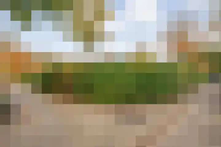 Haersolteweg 17 G 142 Dalfsen thumbnail 6
