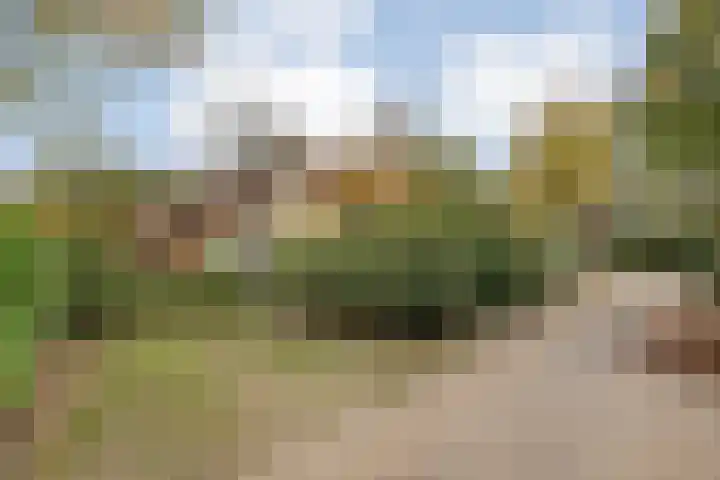 Haersolteweg 17 G 142 Dalfsen thumbnail 7