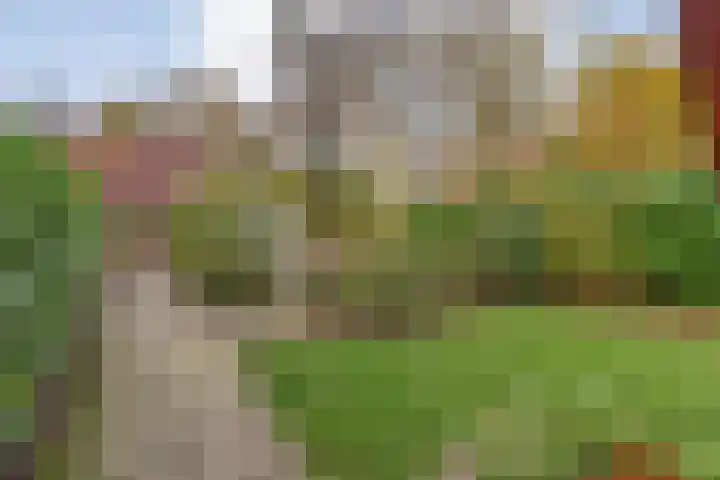 Haersolteweg 17 G 142 Dalfsen thumbnail 8
