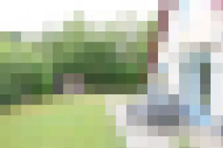Haersolteweg 17 G 145 Dalfsen thumbnail 17