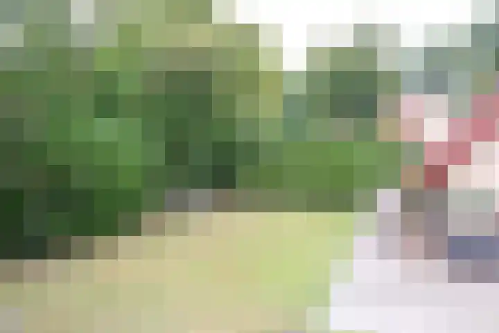 Haersolteweg 17 G 145 Dalfsen thumbnail 19