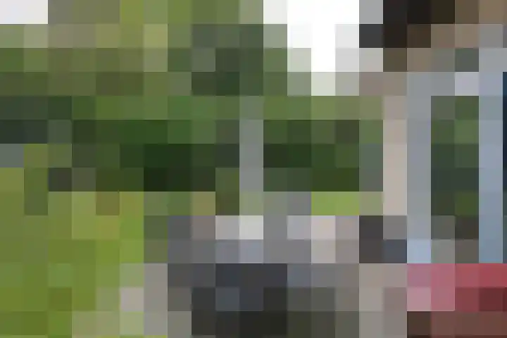 Haersolteweg 17 G 145 Dalfsen thumbnail 20