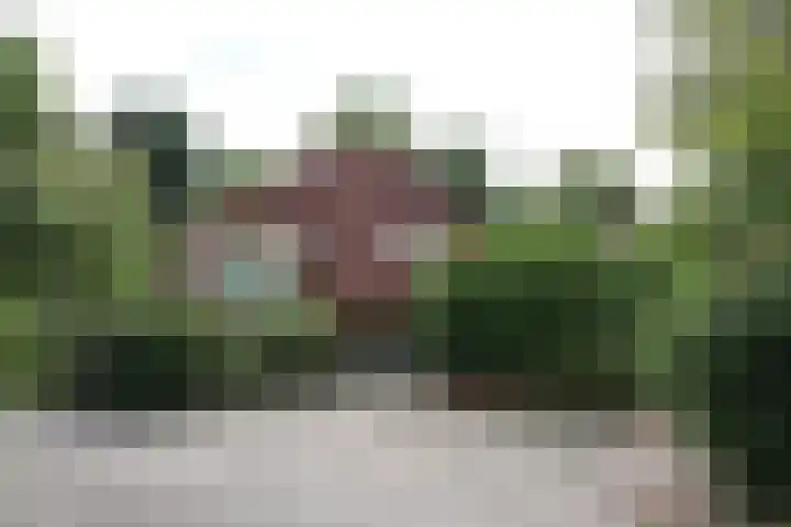 Haersolteweg 17 G 145 Dalfsen thumbnail 21