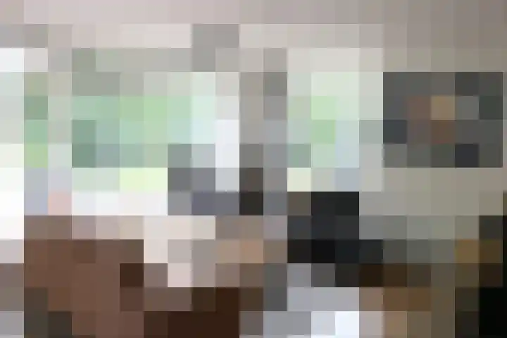 Haersolteweg 17 G 145 Dalfsen thumbnail 4