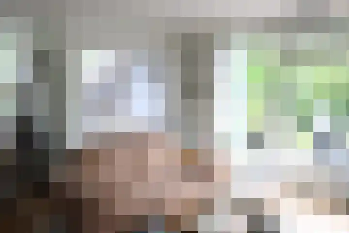 Haersolteweg 17 G 145 Dalfsen thumbnail 6
