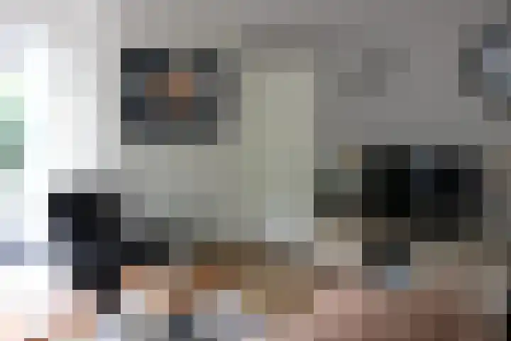 Haersolteweg 17 G 145 Dalfsen thumbnail 8