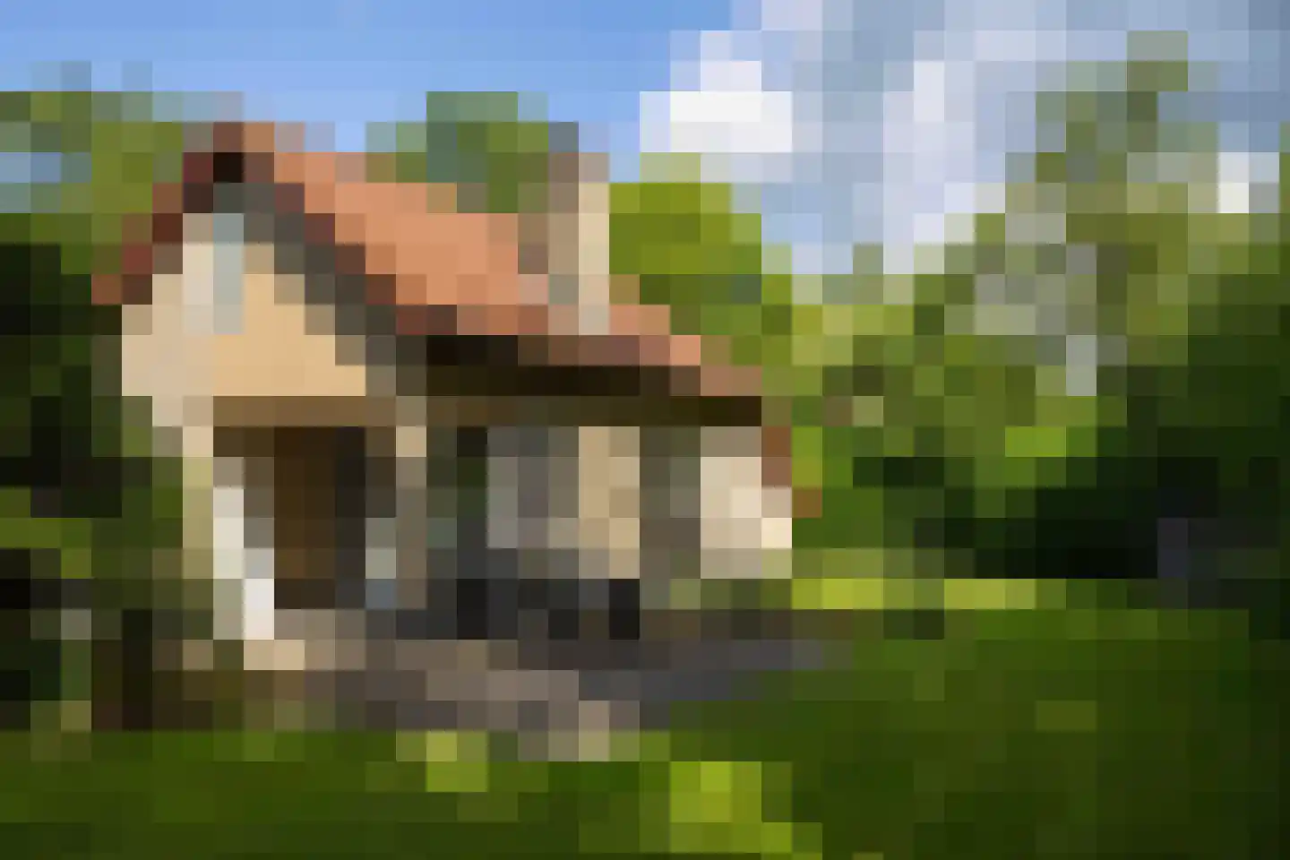 Haersolteweg 17 G 152 Dalfsen thumbnail 17