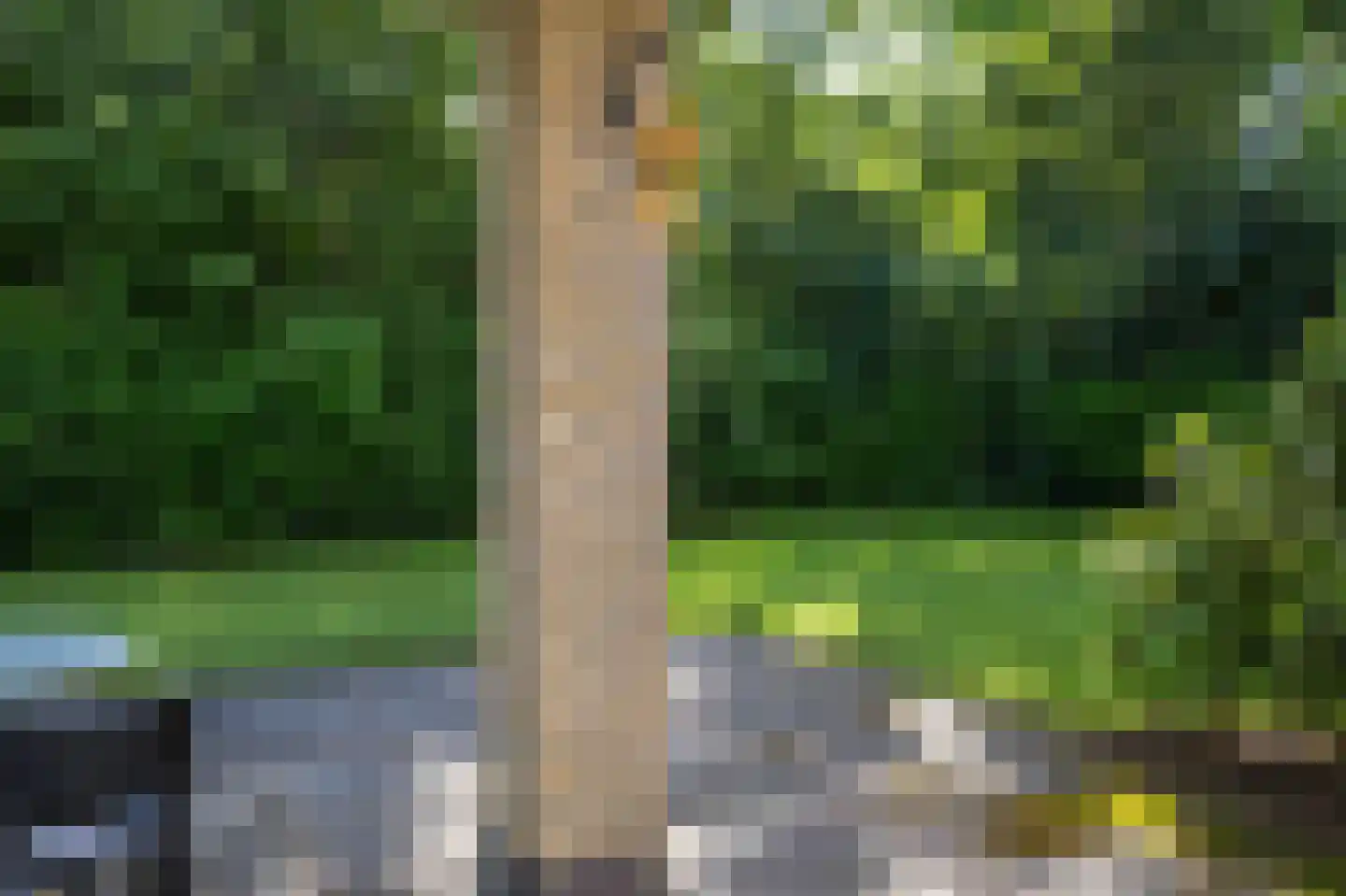 Haersolteweg 17 G 152 Dalfsen thumbnail 18