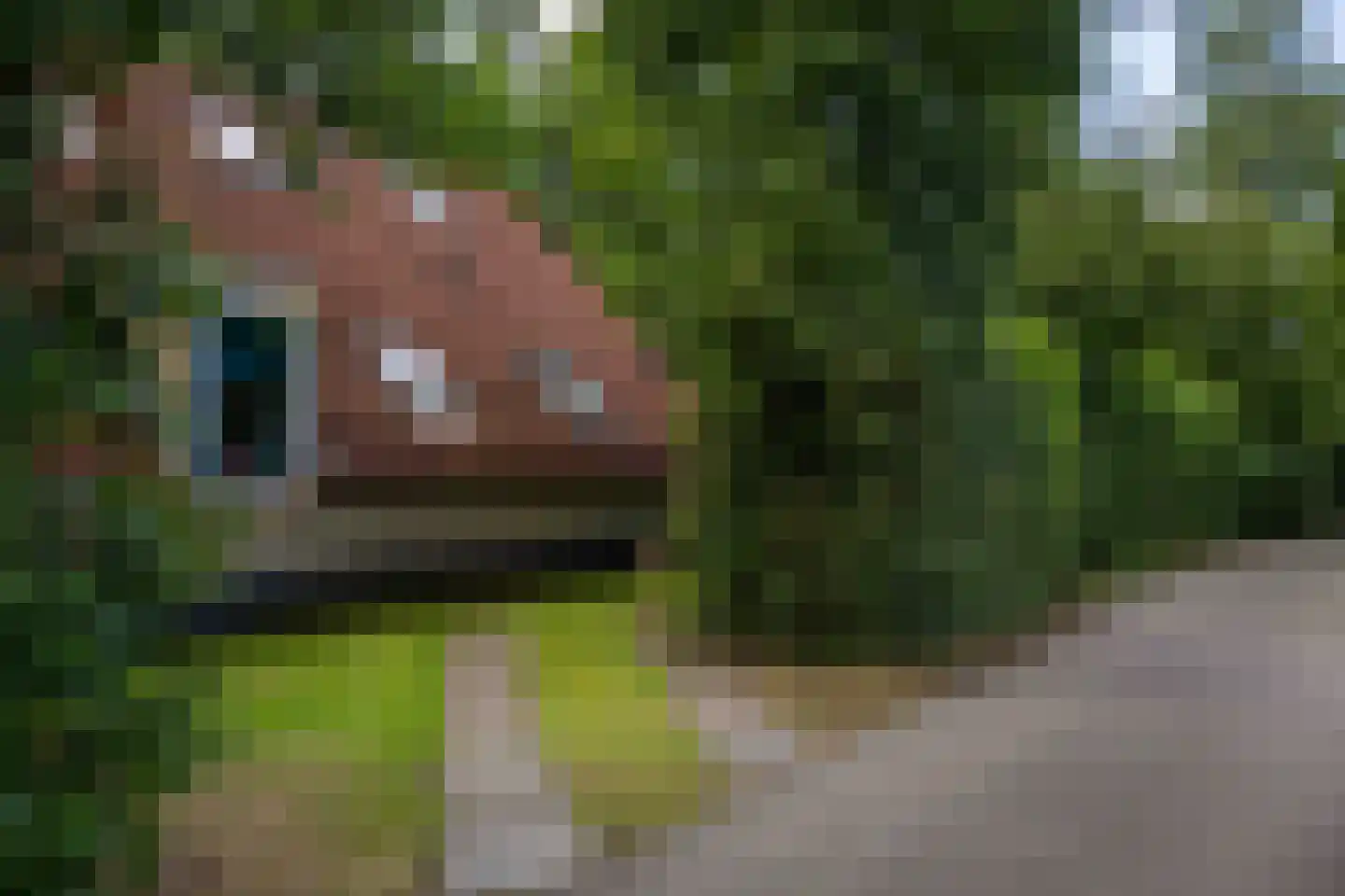 Haersolteweg 17 G 152 Dalfsen thumbnail 20