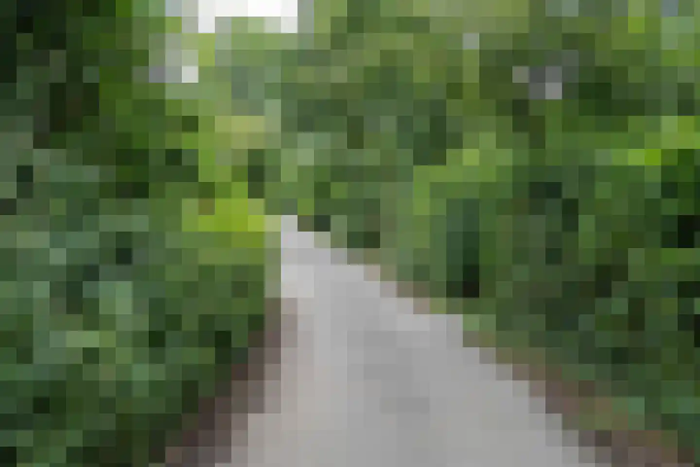 Haersolteweg 17 G 152 Dalfsen thumbnail 21