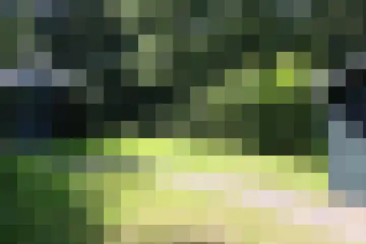 Haersolteweg 17 G 209 Dalfsen thumbnail 14