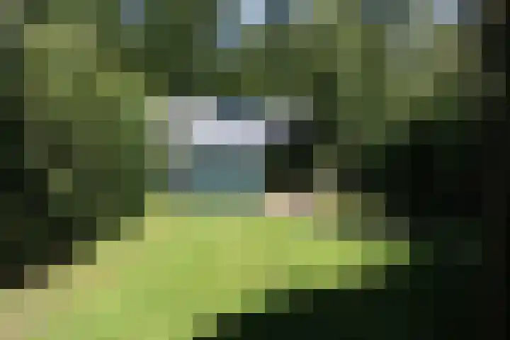 Haersolteweg 17 G 209 Dalfsen thumbnail 15