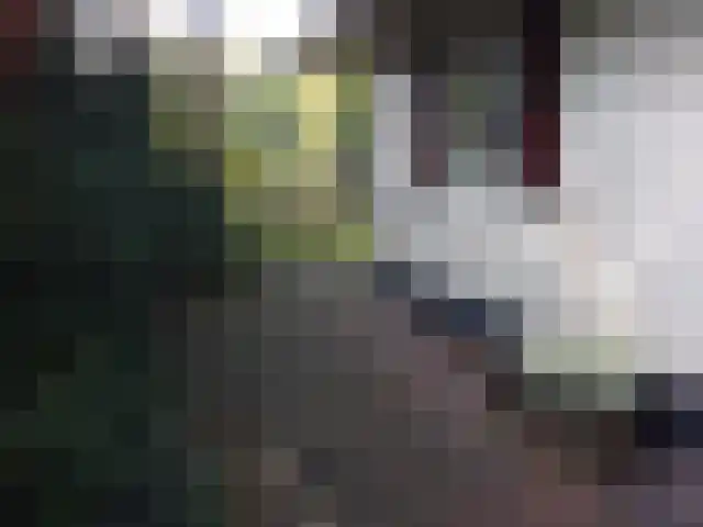 Haersolteweg 17 G 209 Dalfsen thumbnail 16