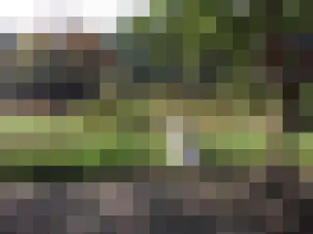 Haersolteweg 17 G 209 Dalfsen thumbnail 17