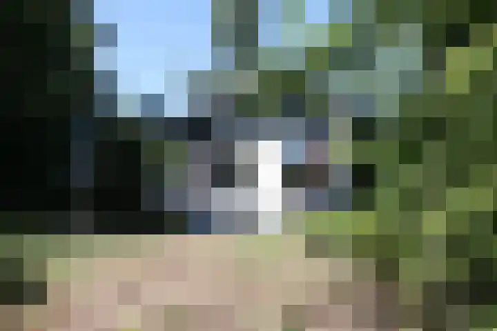 Haersolteweg 17 G 209 Dalfsen thumbnail 4