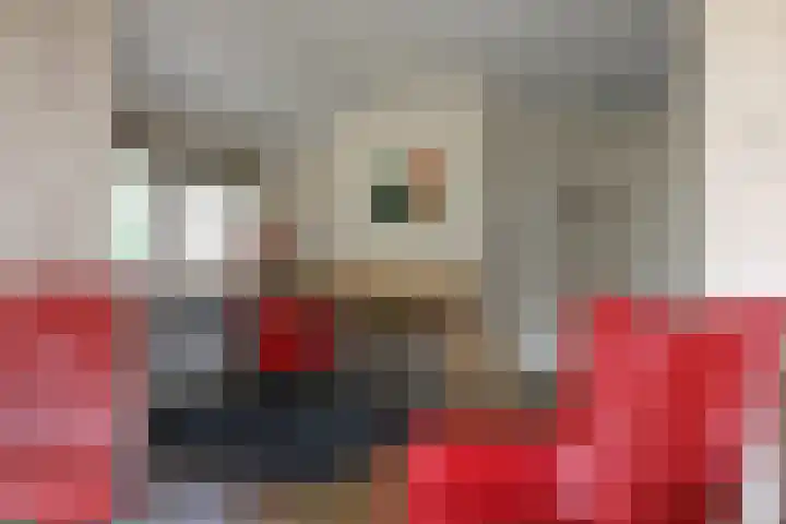 Haersolteweg 17 G 209 Dalfsen thumbnail 7