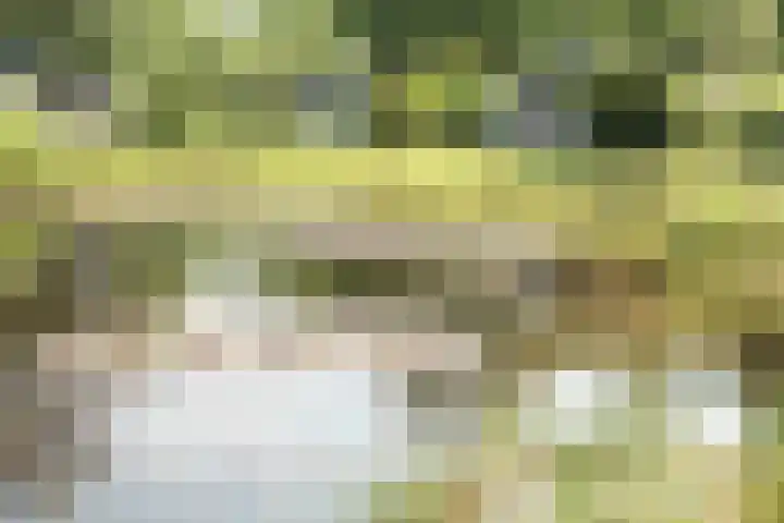 Haersolteweg 17 G 229 Dalfsen thumbnail 16