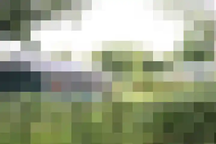 Haersolteweg 17 G 229 Dalfsen thumbnail 4
