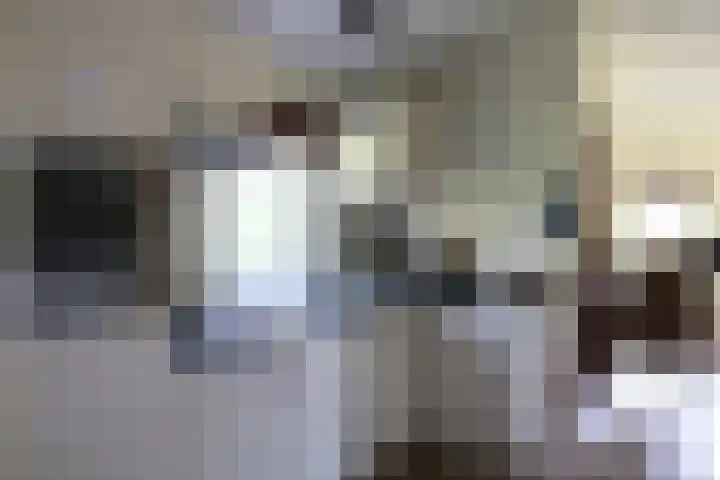 Haersolteweg 17 G 229 Dalfsen thumbnail 9