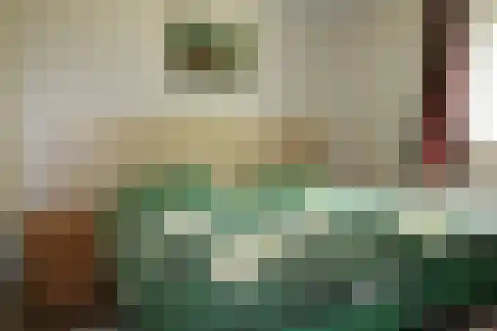 Haersolteweg 17 G 232 Dalfsen thumbnail 11