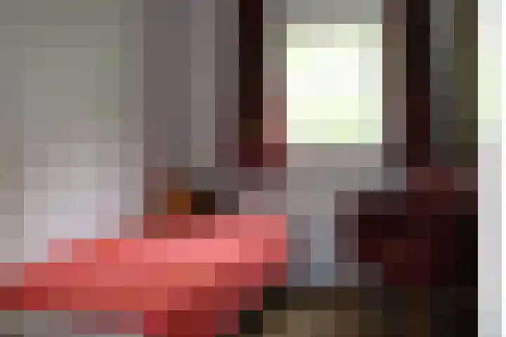 Haersolteweg 17 G 232 Dalfsen thumbnail 15