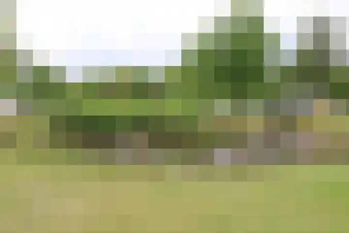 Haersolteweg 17 G 232 Dalfsen thumbnail 26