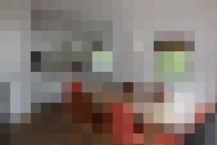 Haersolteweg 17 G 232 Dalfsen thumbnail 6