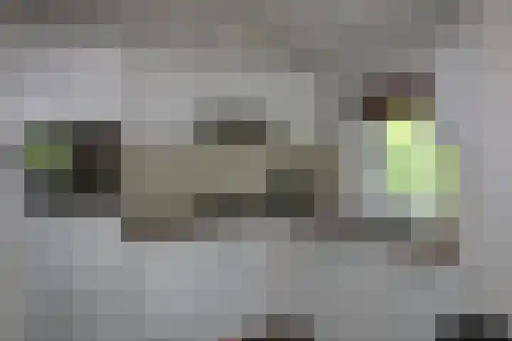 Haersolteweg 17 G 232 Dalfsen thumbnail 9