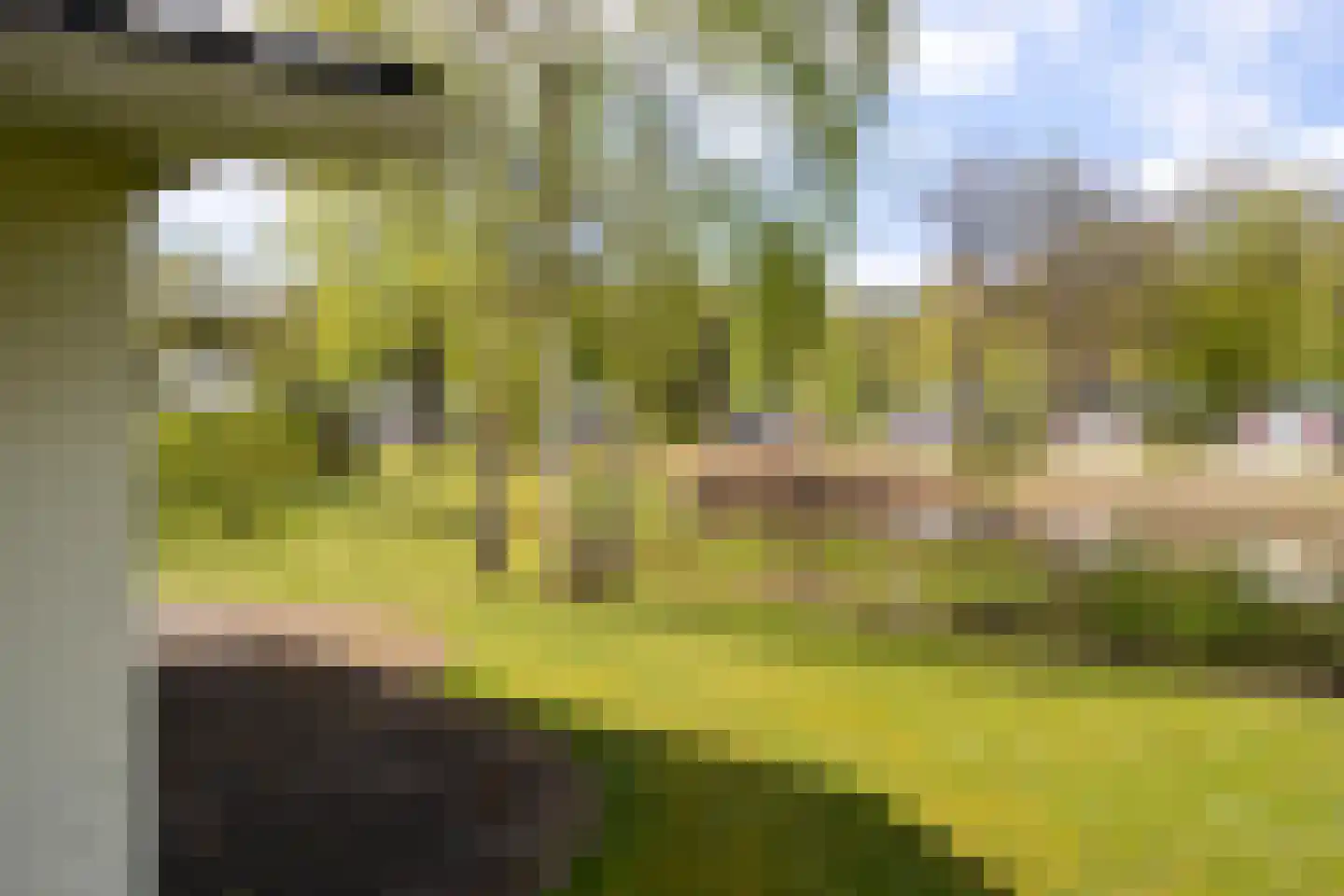 Haersolteweg 17 G 244 Dalfsen thumbnail 4