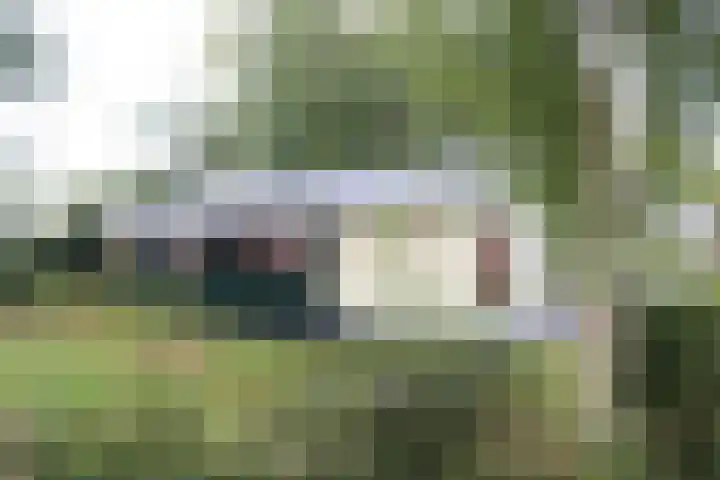 Haersolteweg 17 G 254 Dalfsen thumbnail 18