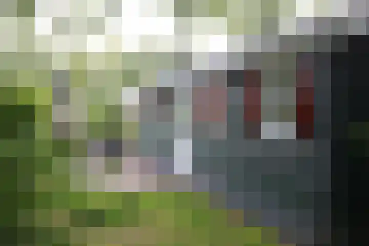 Haersolteweg 17 G 254 Dalfsen thumbnail 19