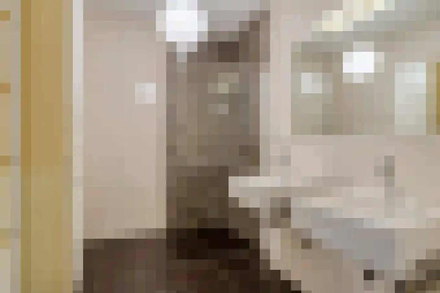 Haerstraat 36 AP2 Oldenzaal thumbnail 29