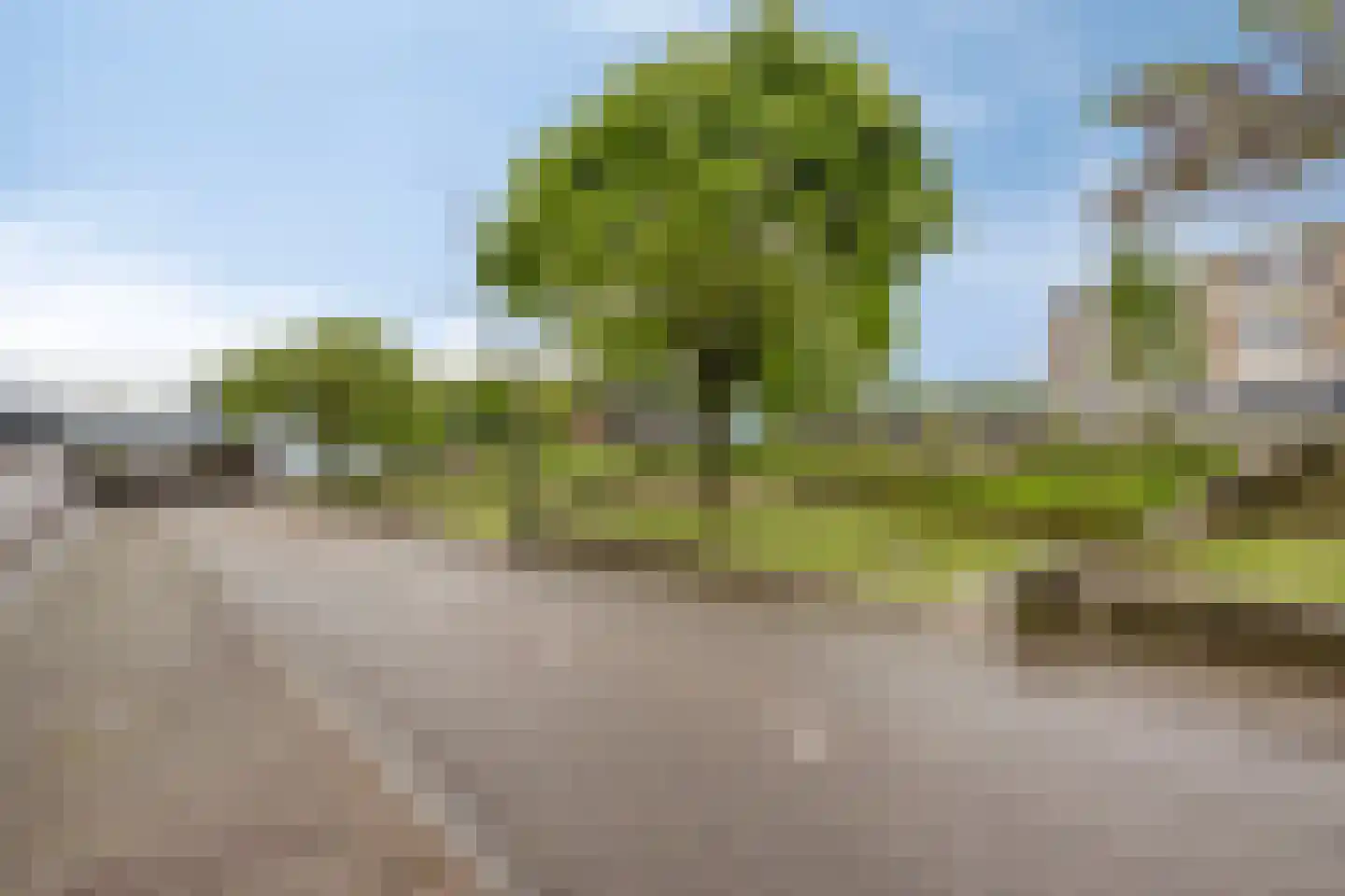 Haerstraat 36 AP2 Oldenzaal thumbnail 40