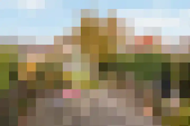 Haerstraat 52 Oldenzaal thumbnail 22