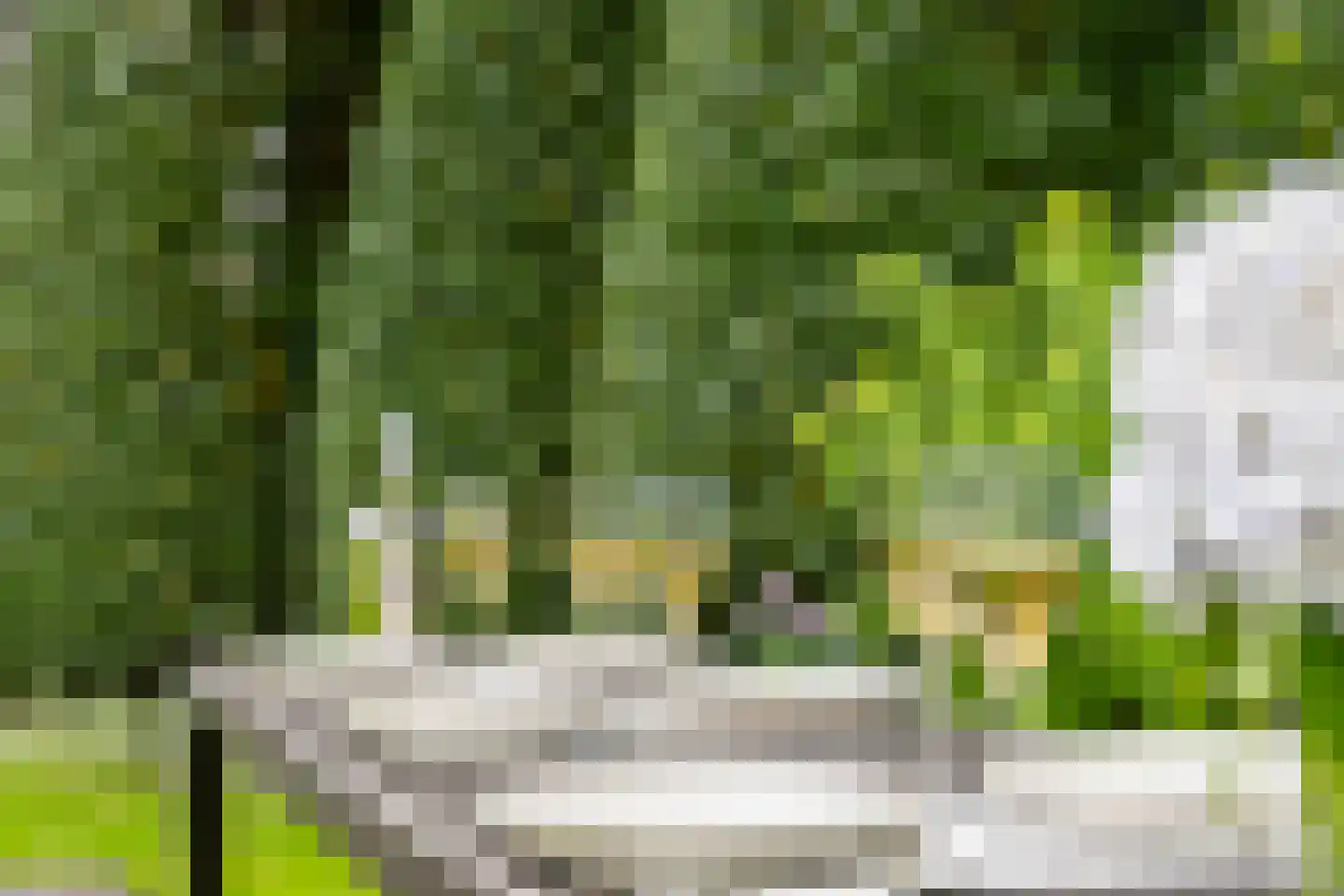 Haerstraat 93 Oldenzaal thumbnail 37