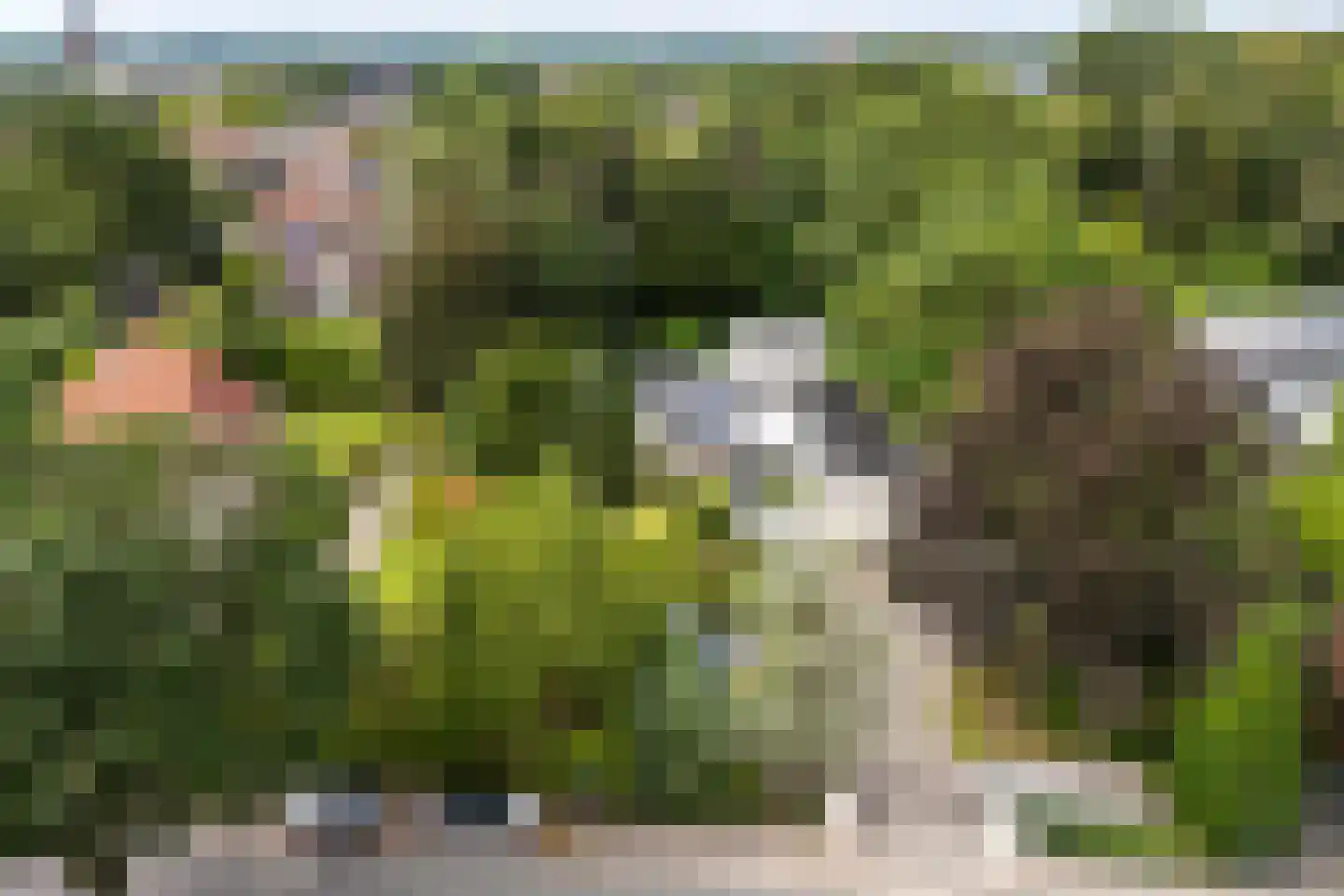 Haerstraat 93 Oldenzaal thumbnail 6