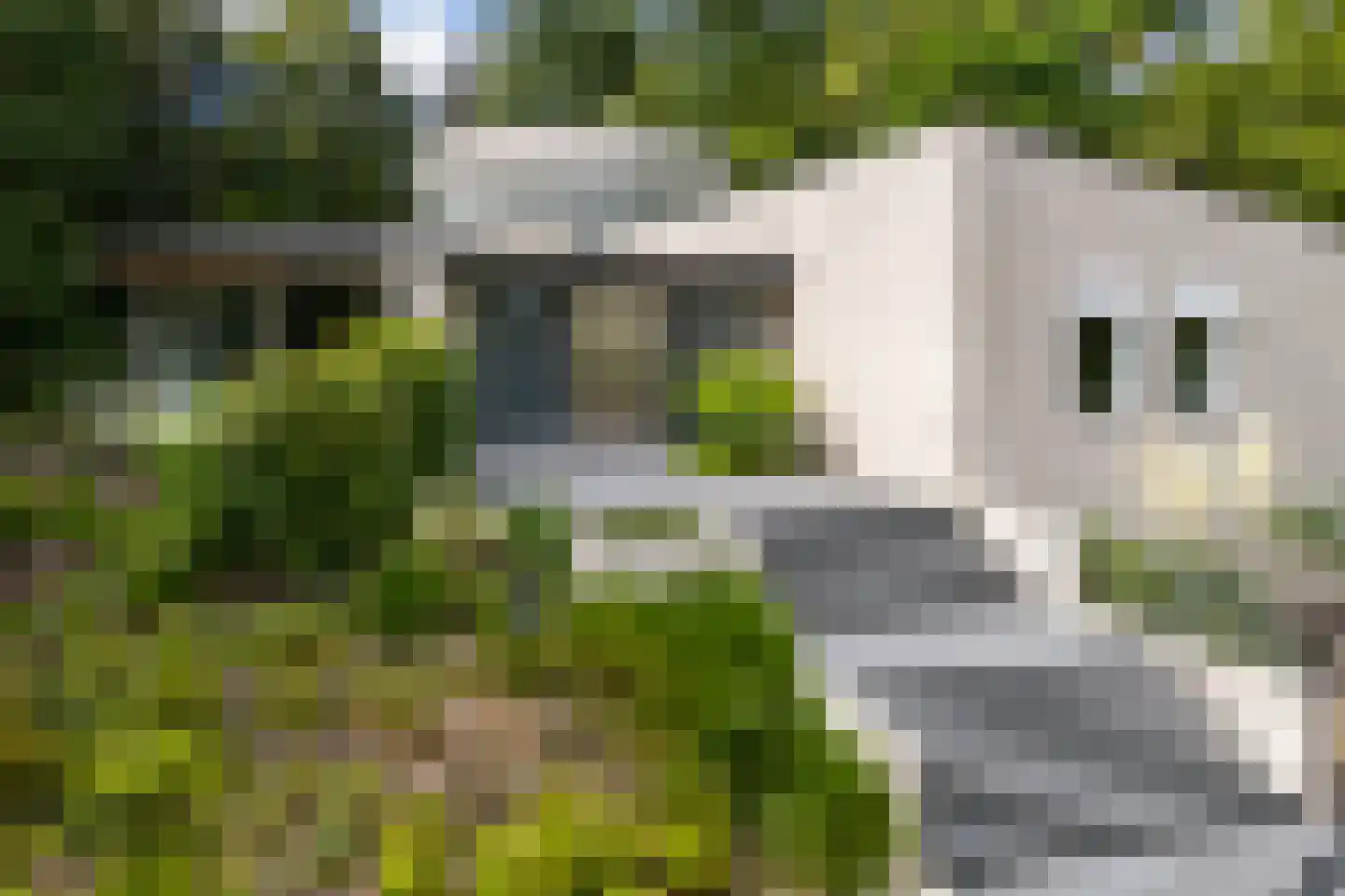 Haerstraat 93 Oldenzaal thumbnail 9