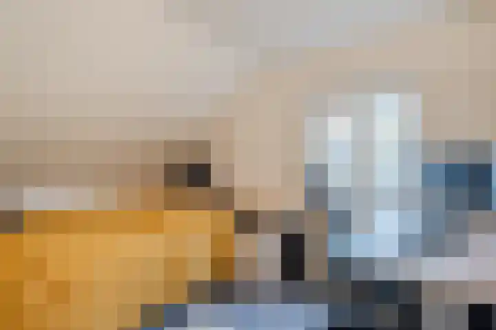 Haesackerlaan 81 Heiloo thumbnail 24
