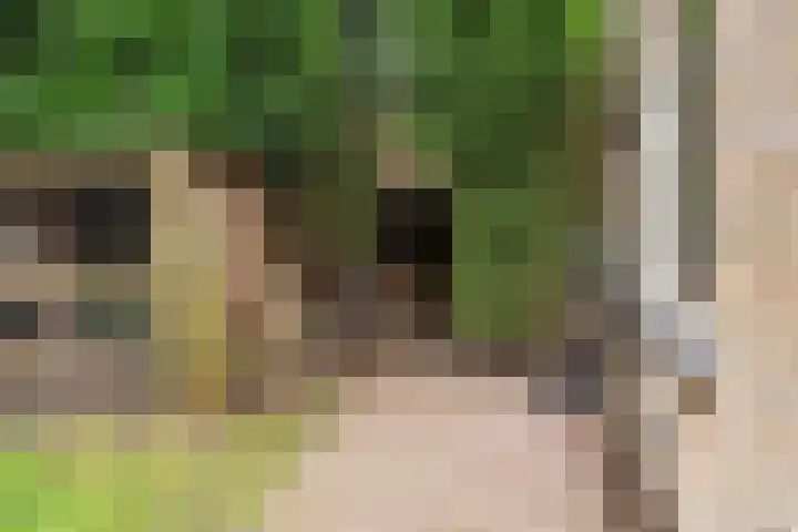 Haesackerlaan 81 Heiloo thumbnail 32