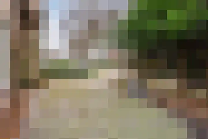 Haesackerlaan 81 Heiloo thumbnail 38