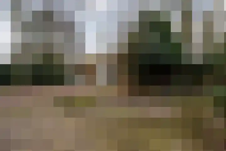 Haesackerlaan 81 Heiloo thumbnail 39