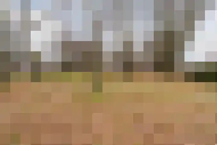 Haesackerlaan 81 Heiloo thumbnail 45