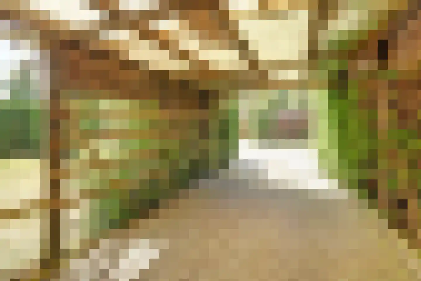 Haeskenshof 4 a Burgh-Haamstede thumbnail 29