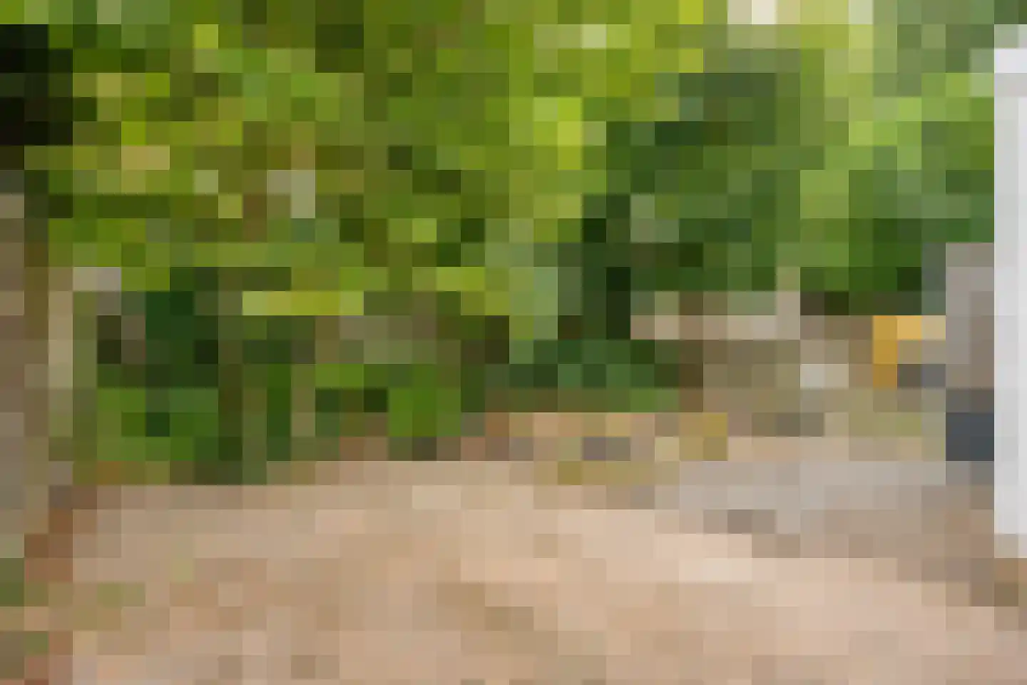 Haesselderstraat 21 Geleen thumbnail 4